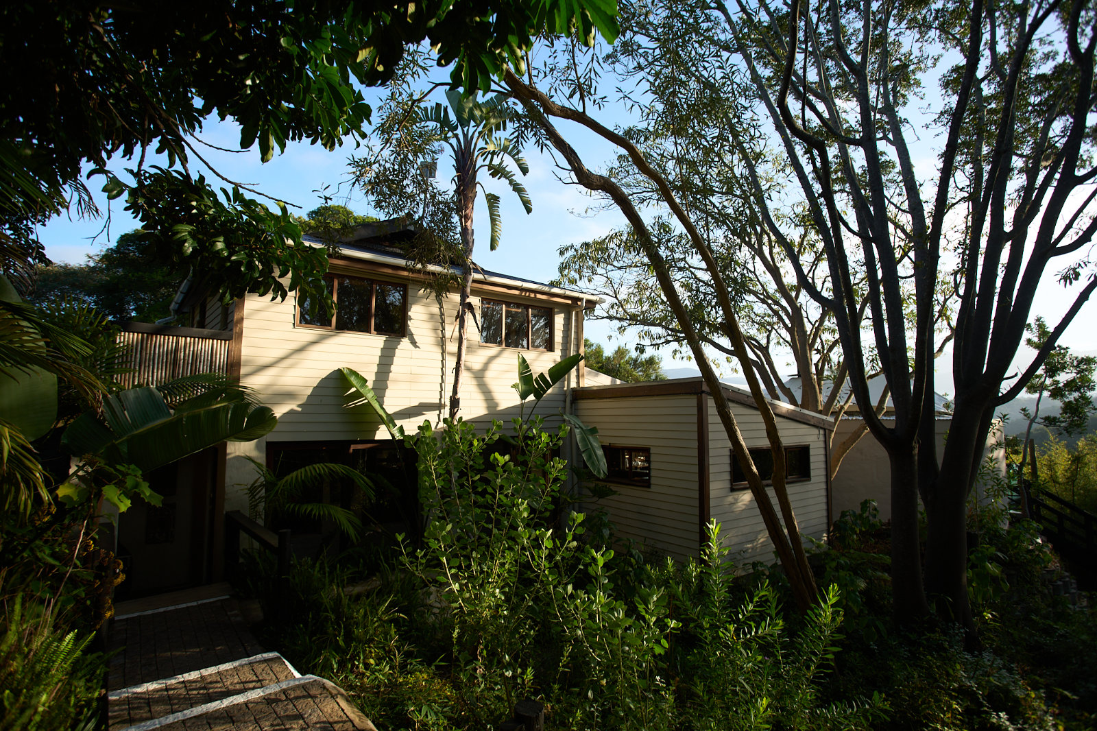 Hog Hollow Country Lodge, seen from the indigenous forest that surrounds the private reserve