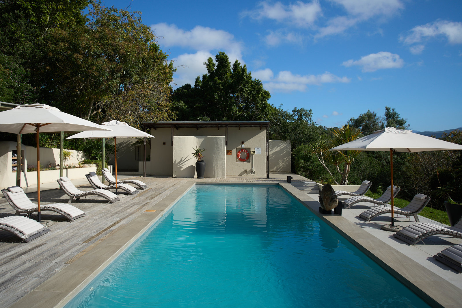 The pool deck at Hog Hollow, facing the forest valley