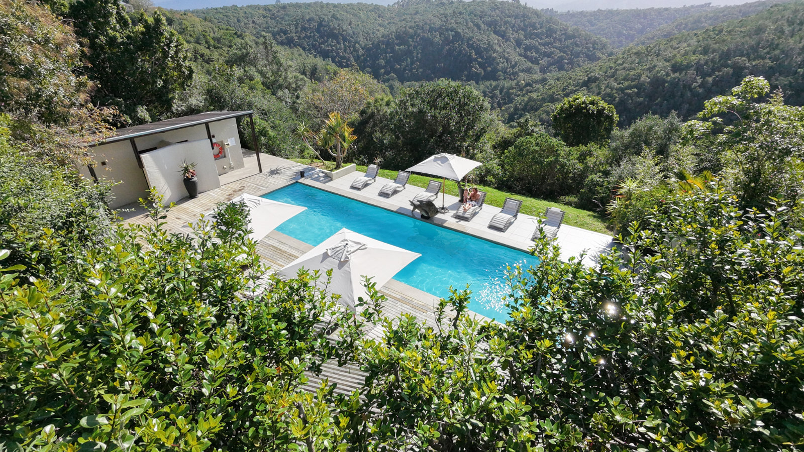 Pool deck seating overlooking the indigenous forest